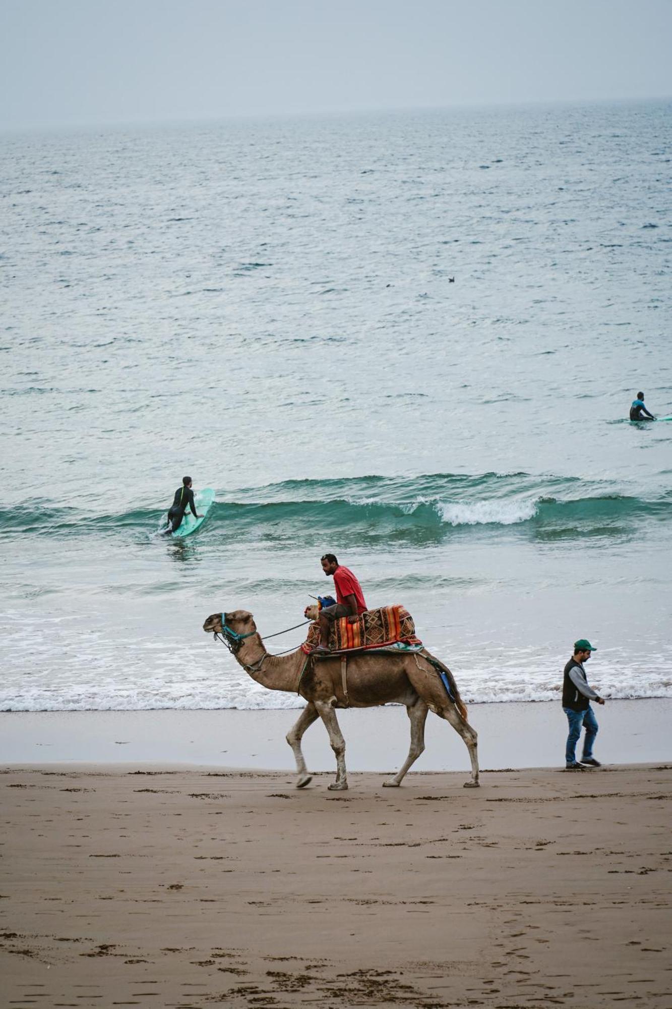 Dar Sultana Guesthouse Surf Morocco Tamraght Экстерьер фото